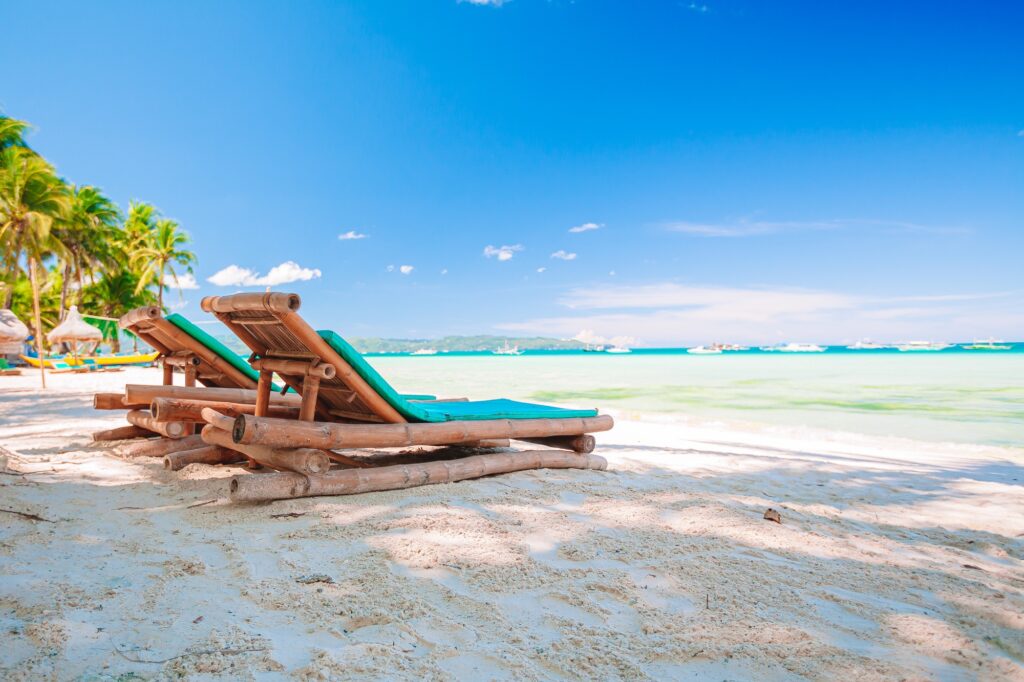 Coconut Palm tree on the sandy beach
